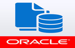 Oracle数据库管理工具有哪些?-北京时博线上平台,时博（中国）公司