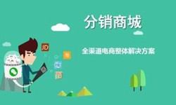 微商城系统时博线上平台,时博（中国）、小程序分销商城系统开发解决方案- 商城时博线上平台,时博（中国）公司