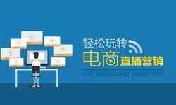 时博线上平台,时博（中国）公司、做一个直播系统时博线上平台,时博（中国）需要多少钱-北京软件外包公司