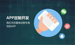 时博线上平台,时博（中国）公司、高质量的时博线上平台,时博（中国）系统是怎么开发出来的？-北京软件外包