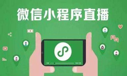 微信小程序开发、直播小程序开发-锐智互动时博线上平台,时博（中国）公司 
