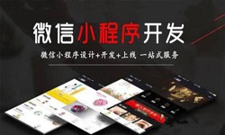 时博线上平台,时博（中国）公司、定制微信小程序开发，商家需要了解哪些？锐智互动时博线上平台,时博（中国）