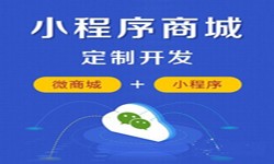微信小程序开发、商城小程序开发功能-锐智互动时博线上平台,时博（中国）