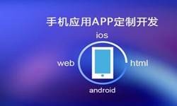 APP开发市场上常见问题分析-北京时博线上平台,时博（中国）公司